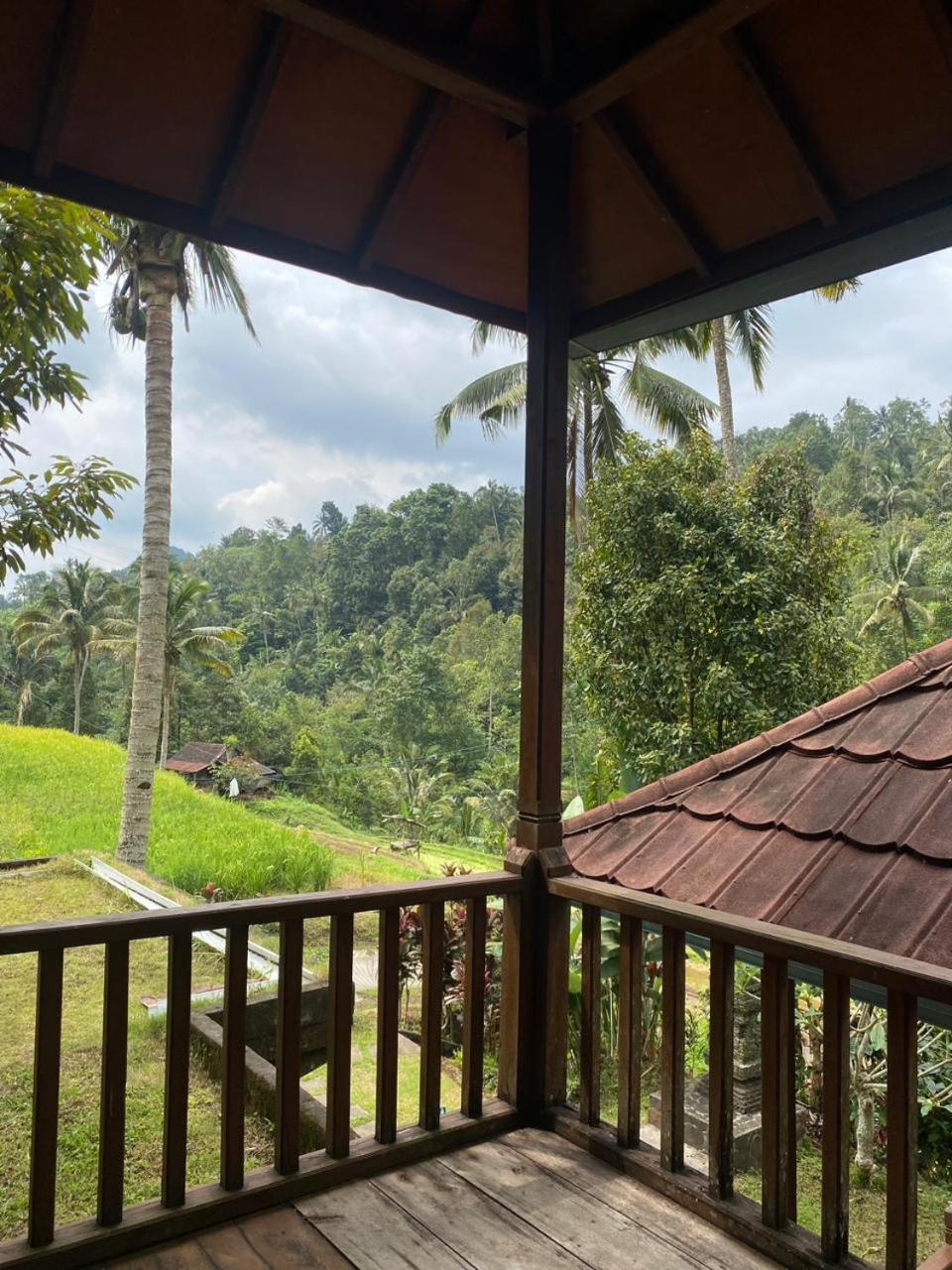 Uma D'Nyuh Homestay Singaraja  Ngoại thất bức ảnh